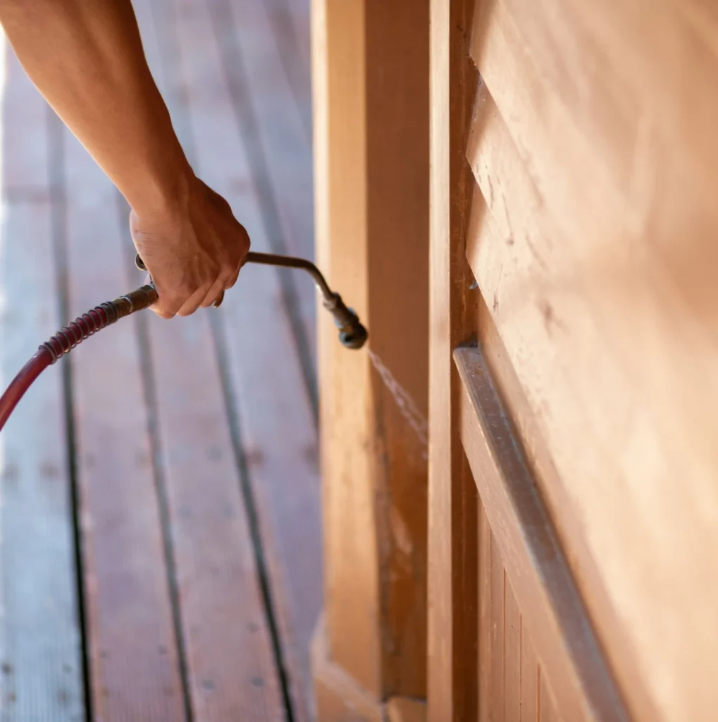 Trusted Pest Control - Manahawkin Pest Control Pros | Manahawkin, NJ | 856-699-2555
